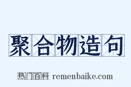 聚合物造句是什么意思的图片